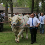 Hódmezővásárhely 2022