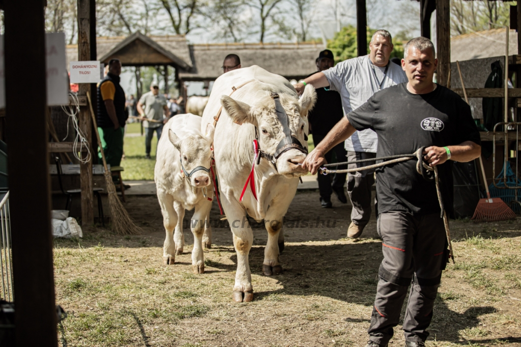 Hódmezővásárhely 2023