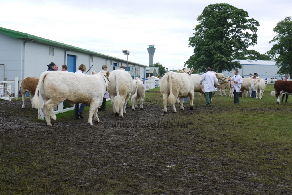 WCC Nagy-Britannia 2012 - DZ
