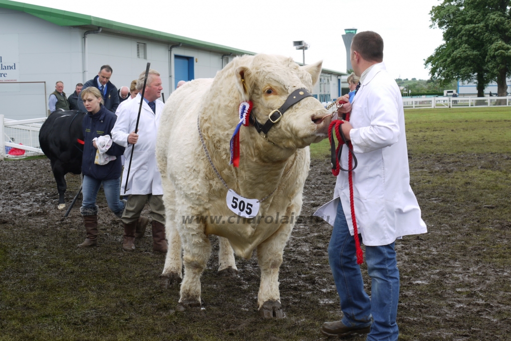 WCC Nagy-Britannia 2012 - DZ