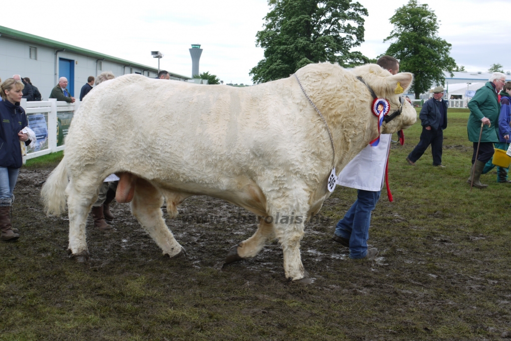 WCC Nagy-Britannia 2012 - DZ