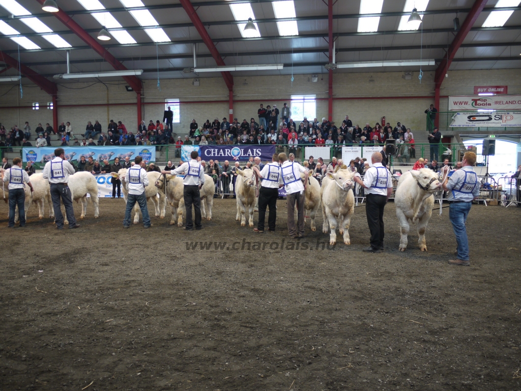 WCC Nagy-Britannia 2012 - DZ