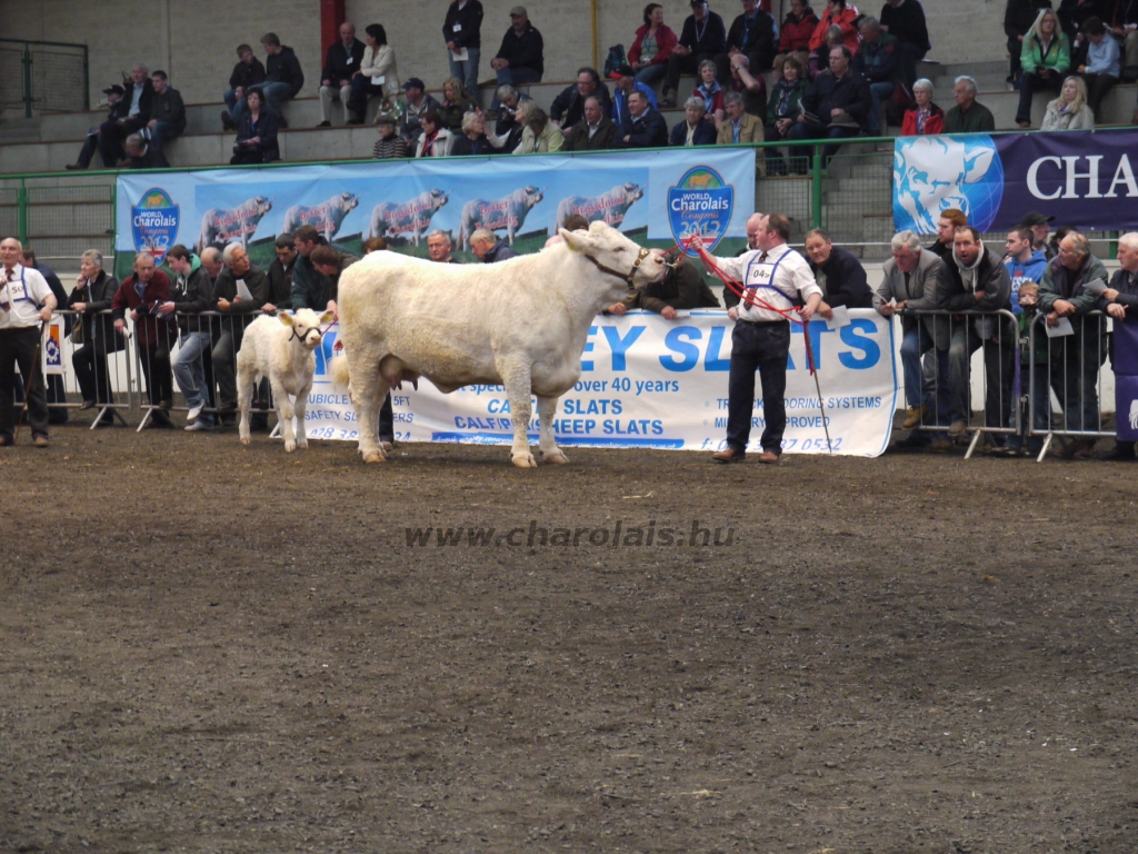 WCC Nagy-Britannia 2012 - DZ