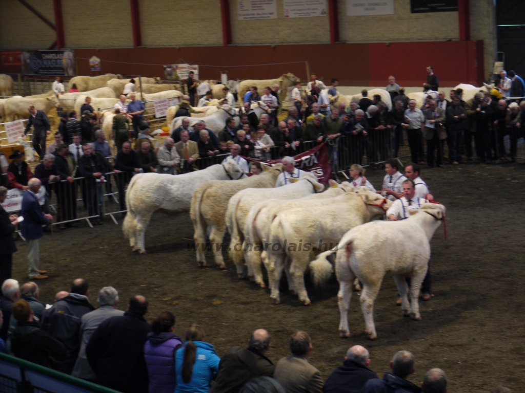 WCC Nagy-Britannia 2012 - DZ