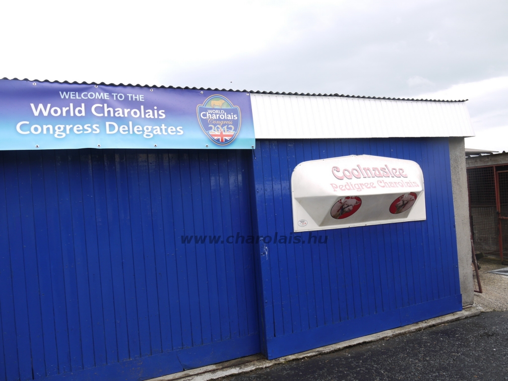 WCC Nagy-Britannia 2012 - DZ