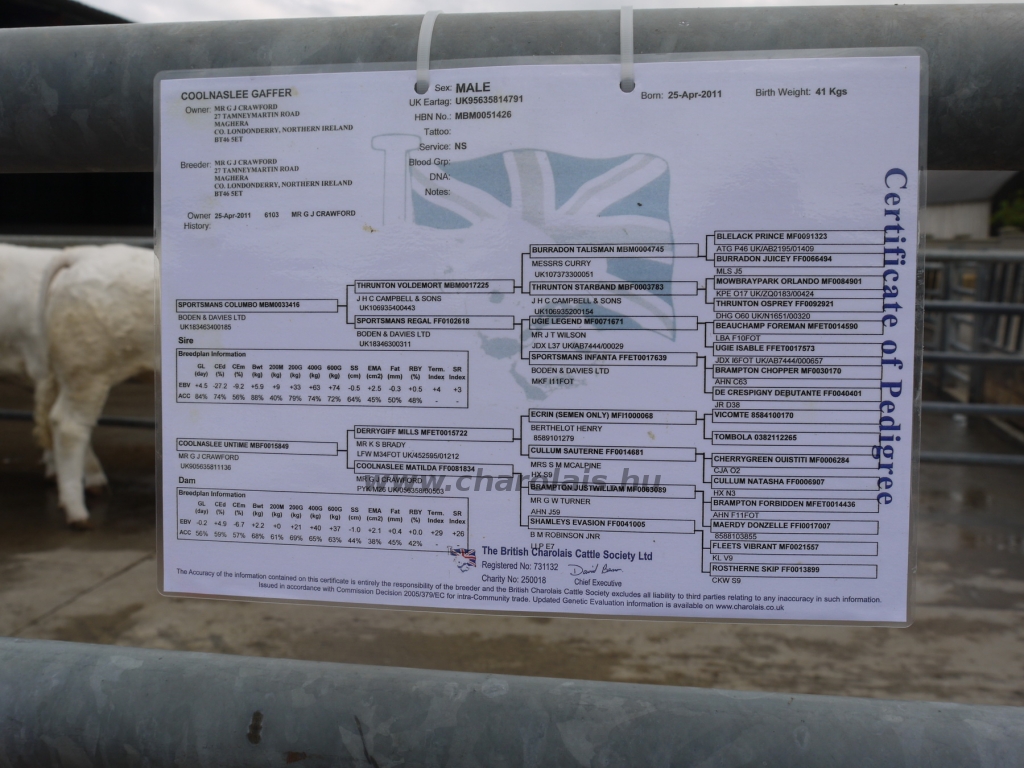 WCC Nagy-Britannia 2012 - DZ