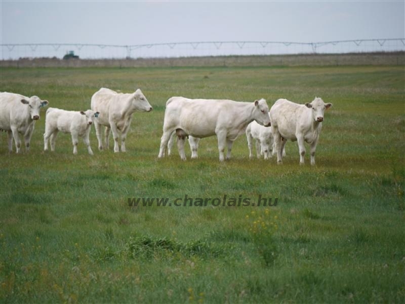 Világkongresszus USA 2010