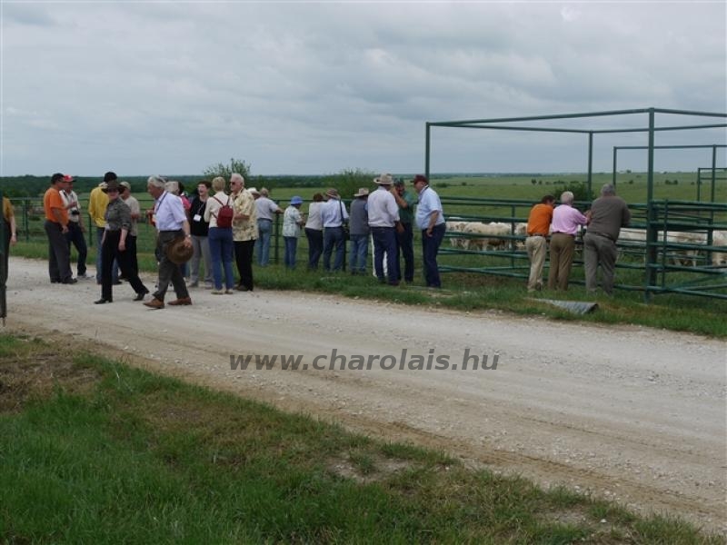 Világkongresszus USA 2010